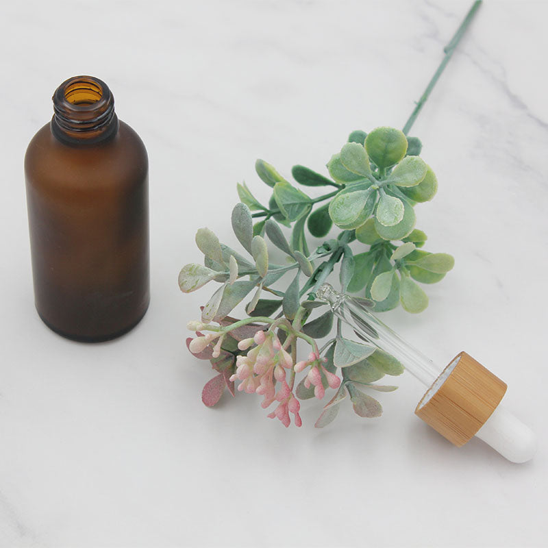Frosted glass dropper bottle with bamboo cap beside a succulent plant, showcasing minimalist design in amber and white.